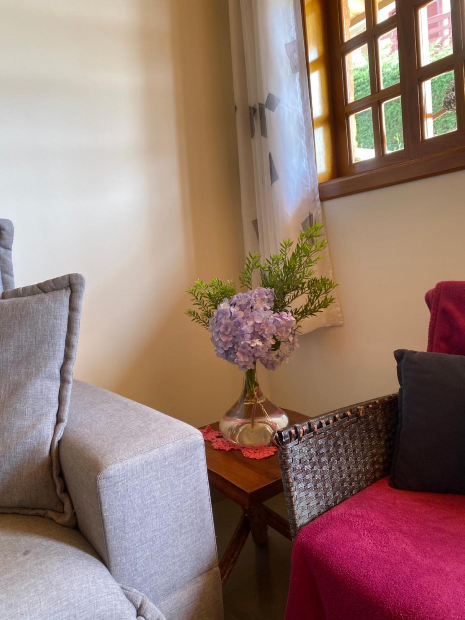 Casa Aconchegante Na Montanha Διαμέρισμα Campos do Jordão Εξωτερικό φωτογραφία